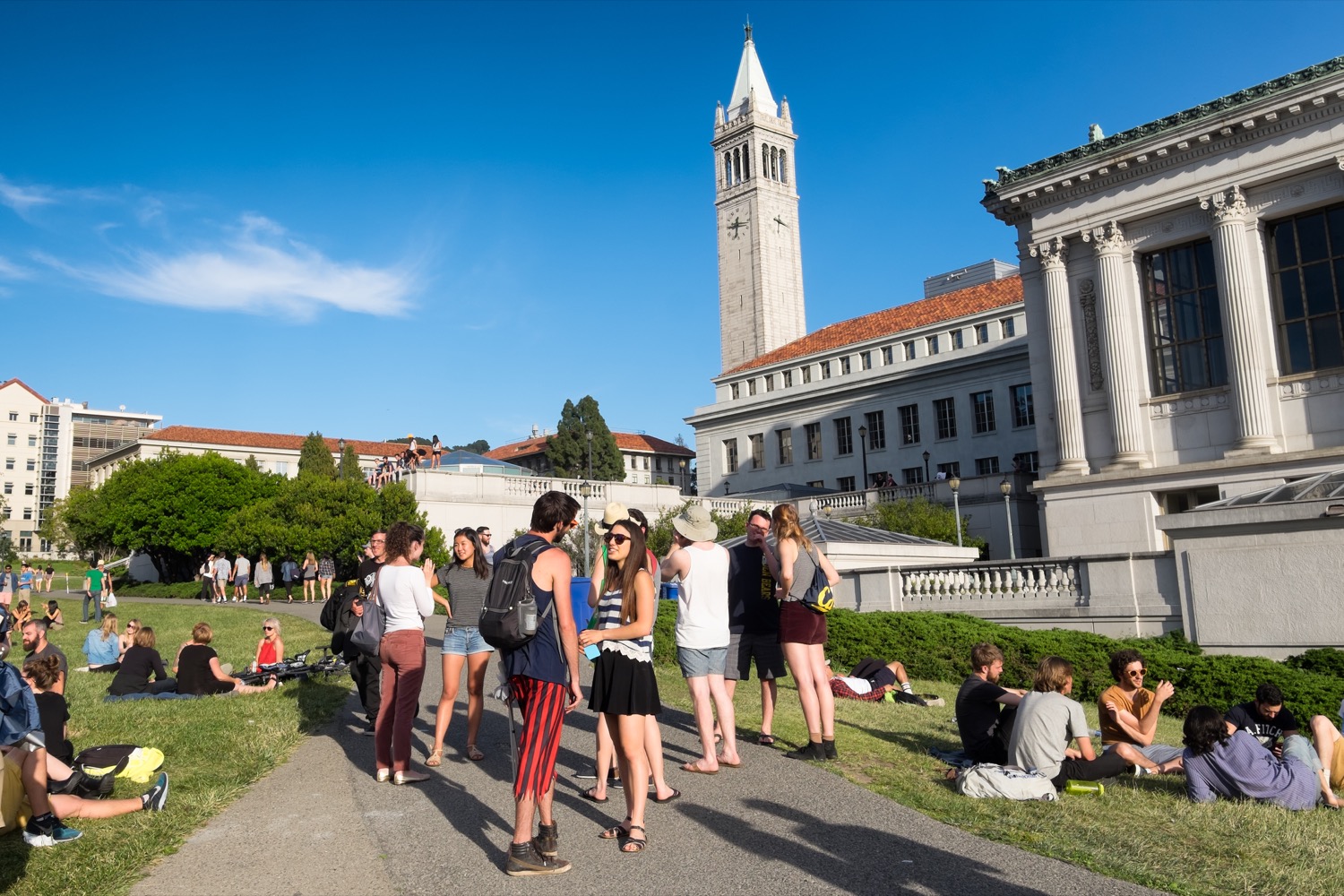 Berkeley SkyDeck Europe, a Milano in due anni 36 startup accompagnate ...